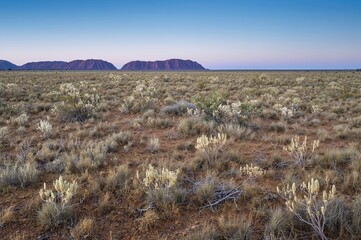 Fototapeta premium Sparse spinifex grassland with scattered shrubs blankets the flatland beneath a rugged mountain range in a distant arid region of Australia