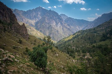 Obraz premium Steep peaks leading to an old village nestled in a rocky valley, surrounded by vibrant flowers and natural beauty