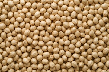 Detailed view of hemp seeds showcasing natural texture and pattern