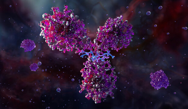 IgG antibody protein structure, Y-shaped immunoglobulin molecule interacting with antigens. Immunology, biotechnology, medical research, immune response, pharmaceutical innovation. 3D scientific image