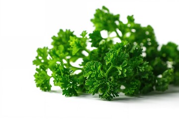 Obraz premium Fresh parsley leaves against a white backdrop