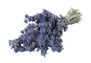 Bouquet of lavender flowers, isolated on transparent background, full focus stacking for sharp...