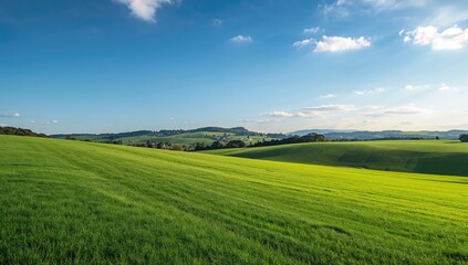 Obraz premium Lush green meadow beneath a clear azure sky