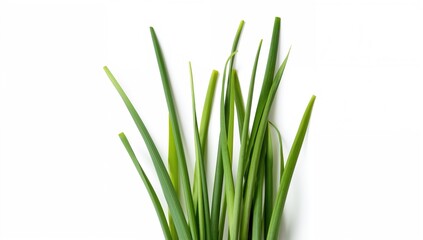 Fototapeta premium Isolated green onion leaves on a white backdrop with clipping path