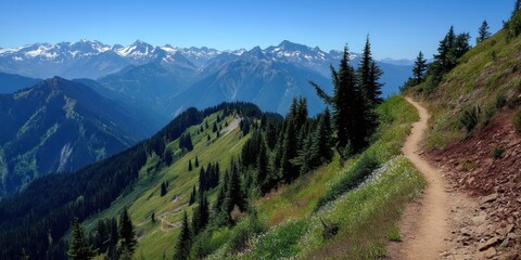 Obraz premium Mountain Climbing Concept. Scenic mountain landscape with a winding trail through greenery.