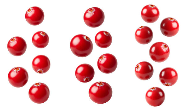 Falling cranberries set PNG. Fresh red flying falling down isolated. Cranberry fruit full of vitamins suspended in air PNG. Vegan vegetarian red cranberries isolated