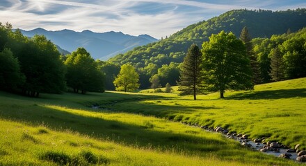 Obraz premium Lush green valley with a winding stream and rolling hills