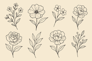 Elegant Floral Line Art Vector Set in Soft Pastel Tones for Decoration & Design
