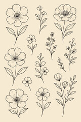 Elegant Floral Line Art Vector Set in Soft Pastel Tones for Decoration & Design