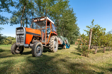 Red tractor ready for vineyard grape harvest