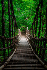 日本の吊り橋