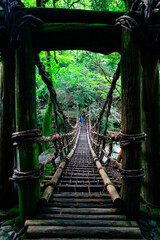 スリル満点な吊り橋