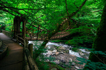 日本の吊り橋
