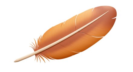 Isolated feather quill pen writing light weight bird plumage stationery graphic design element art on transparent background
