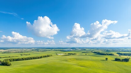 Endless Green: A breathtaking panorama of expansive green fields stretches beneath a vibrant blue sky, dotted with fluffy, cloud formations, depicting the beauty and harmony of nature.