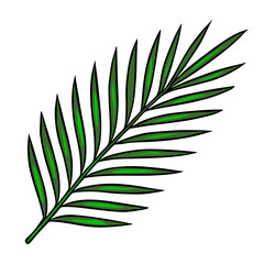 A vibrant vector illustration of a single palm frond, featuring bold dark green leaves with bright lime green highlights, set against a stark white background.