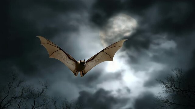 A vampire soaring beneath the moon like a bat