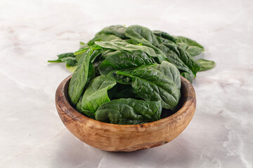 Raw green baby spinach plant