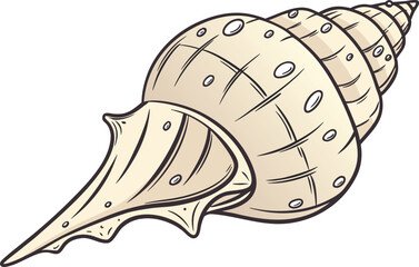 Elegant Sea Shell Design Illustration. Detailed Sea Shell Nature Inspired Artwork. Sea Shell Creative Illustration for Beach Theme. Realistic Sea Shell Illustration Artwork. Sea Shell Decorative