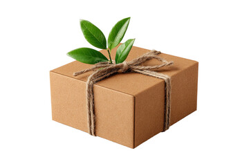 This mockup showcases a brown eco-friendly box tied with twine, accentuated by a fresh green leaf on top, emphasizing sustainable packaging
