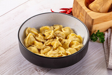 Tasty Russian dumplings with meat