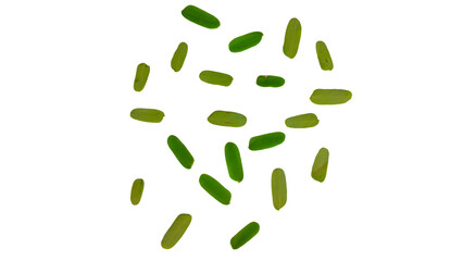 Isolated Scattered Green Leaf Grains on Transparent Background