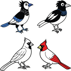 Set of hand drawn birds ,Tropical Birds ,Democratic Republic of the Congo and Birds
Colorful collection of abstract birds


