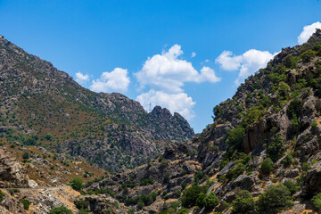 Obraz premium Mountain pass and rocky valley landscape France Corsica 19 June 2025