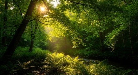 Obraz premium A Quiet Forest at Sunrise, Full of Hope and Tranquility