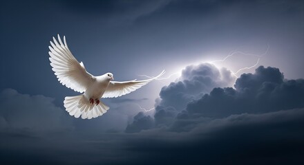 Obraz premium Flapping Dove Against Lightning-Struck Black Clouds