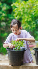 Kid helping in vegetable garden picking chili. Children learning farming for sustainable living life style.