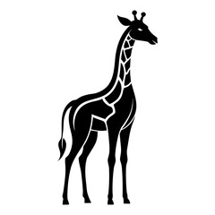 giraffe vector illustration