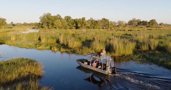 Aerial close-up panning. Tourists on a sightseeing boat on a river in the Okavango Delta