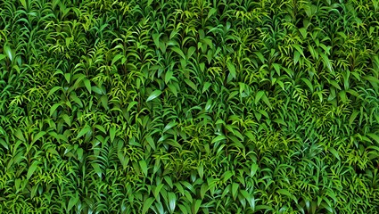 Lush Green Plant Wall for Background or Texture Element Closeup