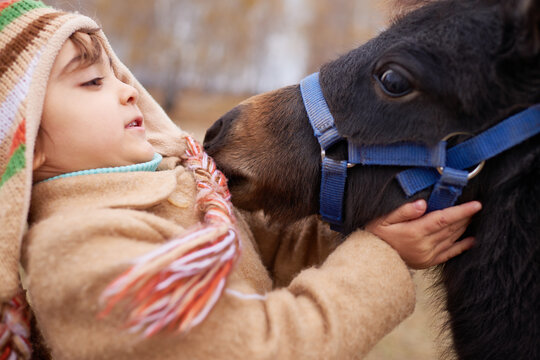 Caucasian child holding pony's head, smiling and making eye contact with animal outdoors, wearing winter clothing, showing gentle interaction between young girl and horse - Powered by Adobe