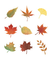 Collection of autumn leaves illustration set on transparent background