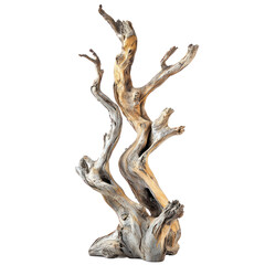 Fototapeta premium A large, weathered driftwood sculpture with a natural, organic texture and a rustic, earthy color palette.