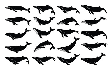 Fototapeta premium Vector art of a captivating collection of whale silhouettes, showcasing the majestic marine mammals graceful form and powerful presence, perfect for adding a touch of ocean life