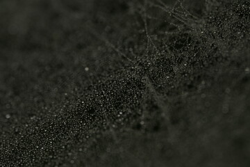 water drops on the spider web