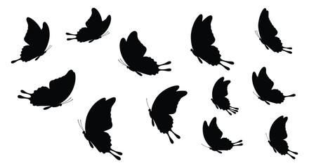 a group of black butterflies flying in various directions