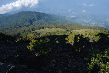 Scenic Mountain View with Greenery and Distant Valleys Under Clear Sky
