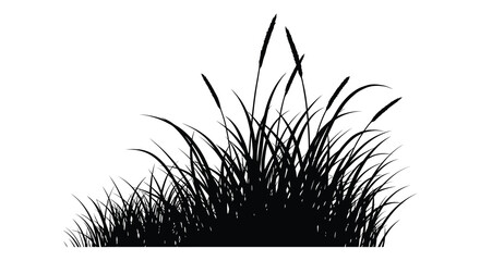 tall grass silhouette against white background