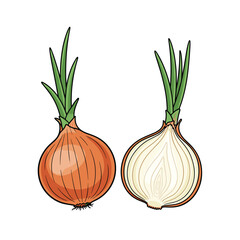 A whole yellow onion alongside a sliced onion showing its layers and growing green sprouts on a white background