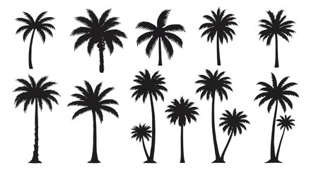 various palm tree silhouettes against white background