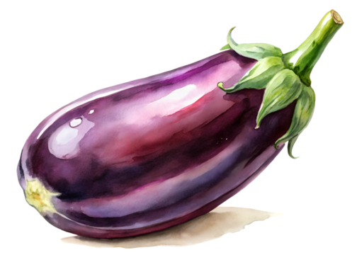 Watercolor Illustration of a Single Shiny Eggplant on a Light Background