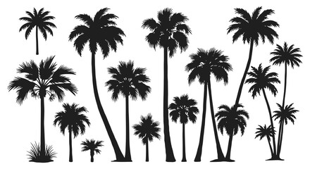 tropical palm trees silhouette art design graphic illustration