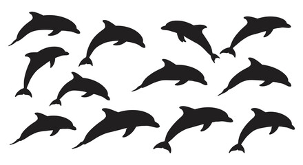 dolphins swimming gracefully in ocean waters