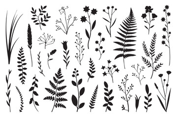black botanical silhouettes of flowers leaves grasses and ferns vector illustration pack for design