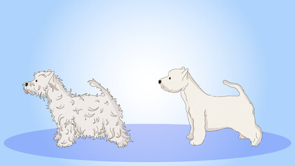 Dog Before and After Grooming Illustration, Pet Haircut Transformation on Blue Background
