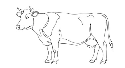 Line Art Cow Illustration Black and White Farm Animal Graphic isolated on transparent background